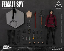 画像をギャラリービューアに読み込む, Brotoys 1/12 scale action figure female spy LR011