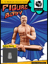 Load image into Gallery viewer, NW Toys 1/12 Medium Muscle Body Product Model: NW002 (2nd Edition) New Accessories added