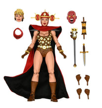 Load image into Gallery viewer, Teenage Mutant Ninja Turtles Renet (Mirage Comics) Action Figure BY NECA - BRAND TEENAGE MUTANT NINJA TURTLES