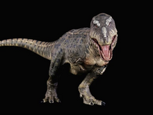 Load image into Gallery viewer, Tyrannosaurus Rex (Kiss Island Ver.) 1/35 Scale Replica BY REBOR