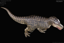 Load image into Gallery viewer, Tyrannosaurus Rex (Kiss Island Ver.) 1/35 Scale Replica BY REBOR