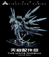 Load image into Gallery viewer, Vientiane Fusion The White Phoenix 1/100 Scale Model Kit BY VIENTIANE FUSION