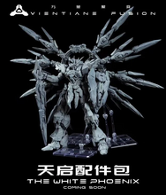 Load image into Gallery viewer, Vientiane Fusion The White Phoenix 1/100 Scale Model Kit BY VIENTIANE FUSION