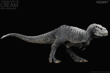 Load image into Gallery viewer, Tyrannosaurus Rex Cream (Skullwalker Ver.) 1/35 Scale Replica BY REBOR