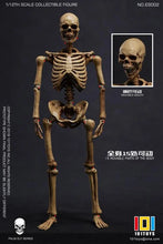 Load image into Gallery viewer, Palm Elf Series No.ES002 Skeleton Frame (Original Color Ver.) 1/12 Scale Action Figure BY 101 TOYS