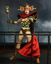 Load image into Gallery viewer, Teenage Mutant Ninja Turtles Renet (Mirage Comics) Action Figure BY NECA - BRAND TEENAGE MUTANT NINJA TURTLES