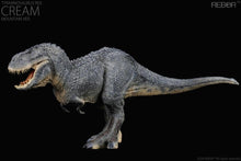 Load image into Gallery viewer, Tyrannosaurus Rex Cream (Mountain Ver.) 1/35 Scale Replica BY REBOR