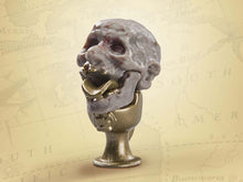 Charger l'image dans la galerie, Indiana Jones Adventure Series Indiana Jones (Hypnotisé) (Skull Idol BAA) PAR HASBRO - MARQUE INDIANA JONES