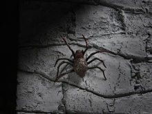 Load image into Gallery viewer, Universal Monsters Dracula Accessory Set BY NECA - BRAND UNIVERSAL MONSTERS