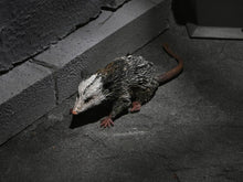 Load image into Gallery viewer, Universal Monsters Dracula Accessory Set BY NECA - BRAND UNIVERSAL MONSTERS