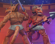 Load image into Gallery viewer, Teenage Mutant Ninja Turtles Triceraton Gladiator (Mirage Comics) Action Figure BY NECA - BRANDS TEENAGE MUTANT NINJA TURTLES, NICKELODEON