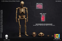 Load image into Gallery viewer, Palm Elf Series No.ES002 Skeleton Frame (Original Color Ver.) 1/12 Scale Action Figure BY 101 TOYS