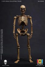 Load image into Gallery viewer, Palm Elf Series No.ES002 Skeleton Frame (Original Color Ver.) 1/12 Scale Action Figure BY 101 TOYS
