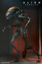 Charger l&#39;image dans la galerie, Alien : Romulus Ultimate Scorched Alien Xenomorph PAR NECA - MARQUE ALIEN 
