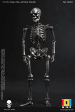 Load image into Gallery viewer, Palm Elf Series No.ES001 Skeleton Frame (Silver Ver.) 1/12 Scale Action Figure BY 101 TOYS
