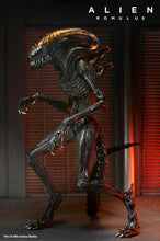 Charger l&#39;image dans la galerie, Alien : Romulus Ultimate Scorched Alien Xenomorph PAR NECA - MARQUE ALIEN 
