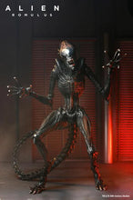 Charger l&#39;image dans la galerie, Alien : Romulus Ultimate Scorched Alien Xenomorph PAR NECA - MARQUE ALIEN 
