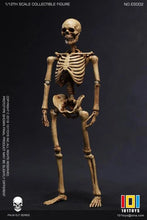 Load image into Gallery viewer, Palm Elf Series No.ES002 Skeleton Frame (Original Color Ver.) 1/12 Scale Action Figure BY 101 TOYS
