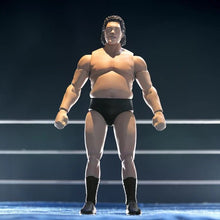 Load image into Gallery viewer, Andre The Giant (Robe Ver.) ULTIMATES! Limited Edition Figure BY SUPER7 - BRAND ANDRE THE GIANT
