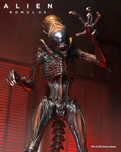 Charger l&#39;image dans la galerie, Alien : Romulus Ultimate Scorched Alien Xenomorph PAR NECA - MARQUE ALIEN 
