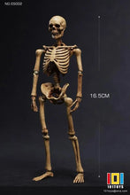 Load image into Gallery viewer, Palm Elf Series No.ES002 Skeleton Frame (Original Color Ver.) 1/12 Scale Action Figure BY 101 TOYS
