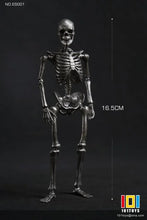 Load image into Gallery viewer, Palm Elf Series No.ES001 Skeleton Frame (Silver Ver.) 1/12 Scale Action Figure BY 101 TOYS
