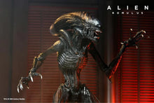 Charger l&#39;image dans la galerie, Alien : Romulus Ultimate Scorched Alien Xenomorph PAR NECA - MARQUE ALIEN 
