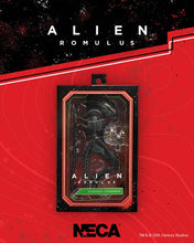 Charger l&#39;image dans la galerie, Alien : Romulus Ultimate Scorched Alien Xenomorph PAR NECA - MARQUE ALIEN 
