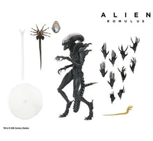 Charger l&#39;image dans la galerie, Alien : Romulus Ultimate Scorched Alien Xenomorph PAR NECA - MARQUE ALIEN 
